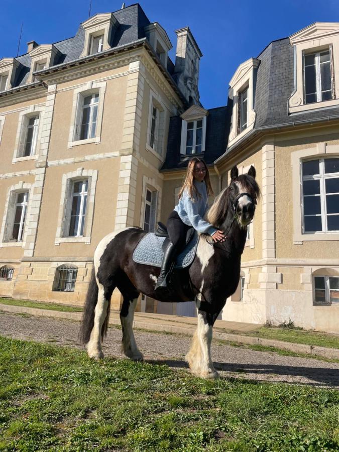 Chateau De La Bouchatte Chambre Les Roses Chazemais المظهر الخارجي الصورة